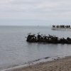 IMG_7304